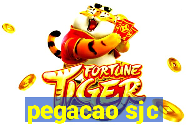 pegacao sjc